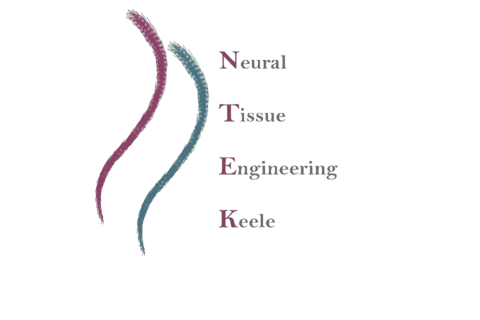 Logo of research group Neural Tissue Engineering 480x320 (transparent)